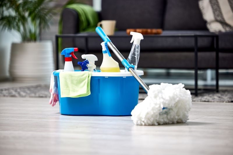 Basement Cleaning Service in Puyallup, WA