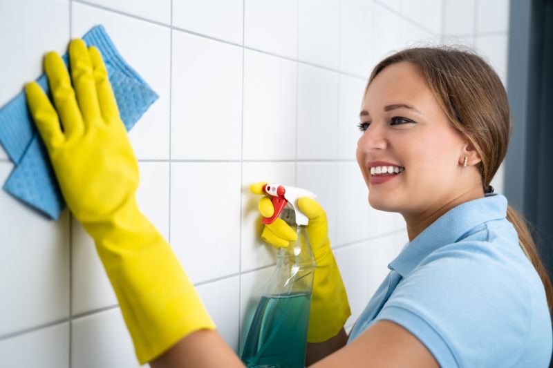 Monthly Maid Service in New Braunfels, TX