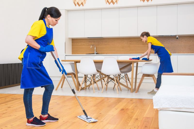 Reo Property Cleaning in Kent, WA